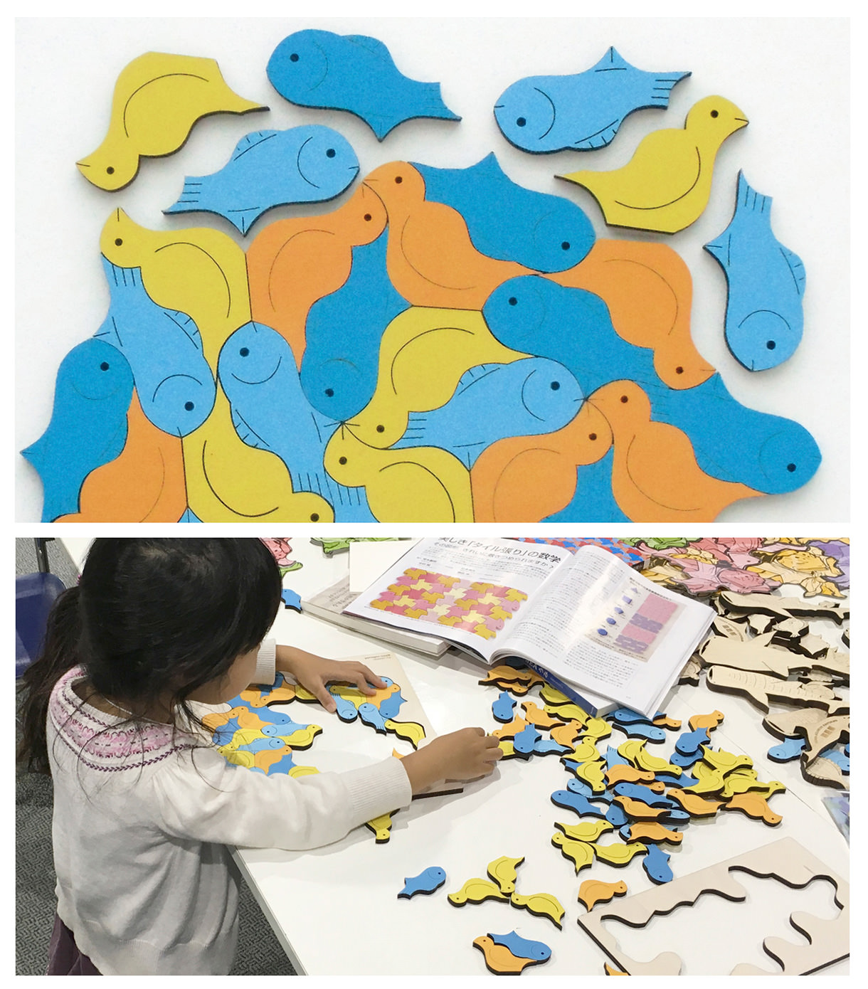 2017年 サイエンスアゴラ