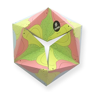 2018年 ミラクル エッシャー展